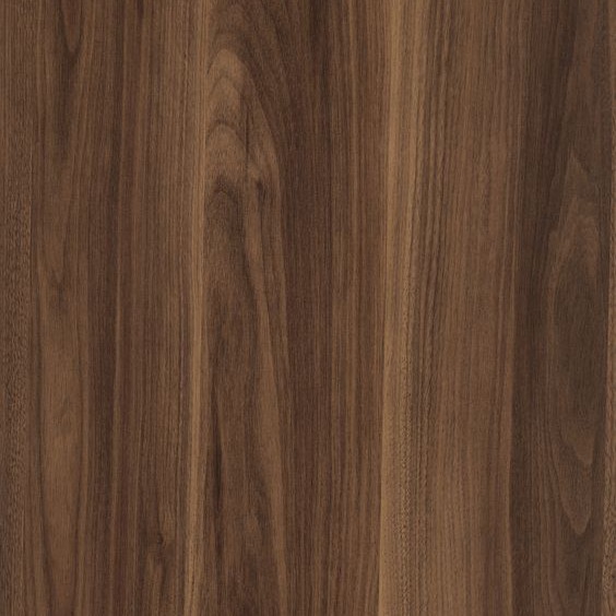 Dark woods